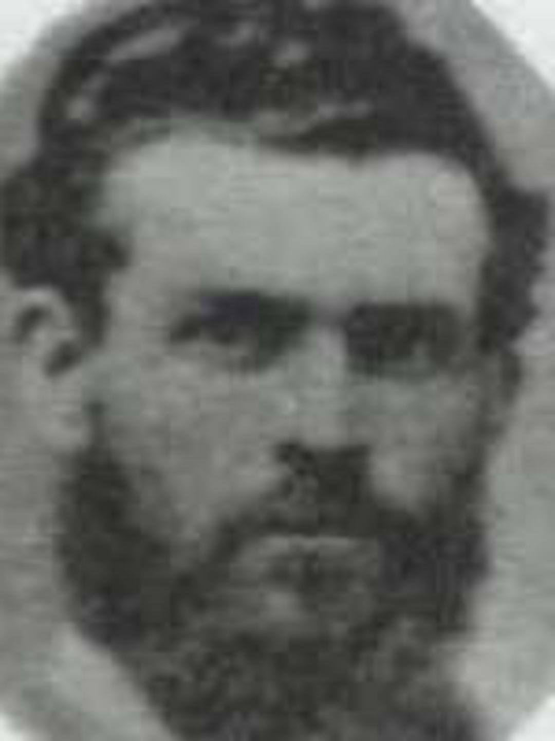 Thomas Stephen Williams (1826 - 1860) Profile